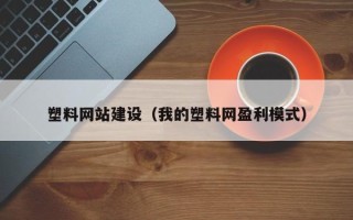 丽江塑料网站建设（我的塑料网盈利模式）