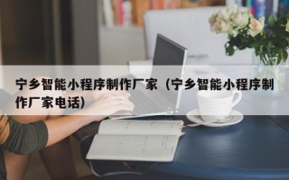 丽江宁乡智能小程序制作厂家（宁乡智能小程序制作厂家电话）