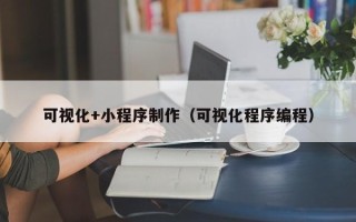 丽江可视化+小程序制作（可视化程序编程）